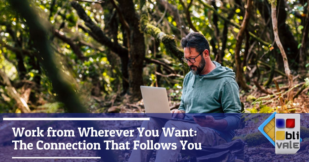 blivale_image_en_Work from Wherever You Want the Connection that Follows You_643x337 BLIVALE Blog: Guides and tips for worry-free travel - Results from #90